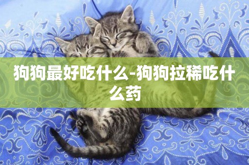 狗狗最好吃什么-狗狗拉稀吃什么藥