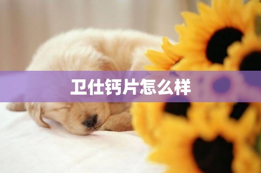 衛仕鈣片怎么樣