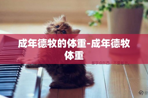 成年德牧的體重-成年德牧體重