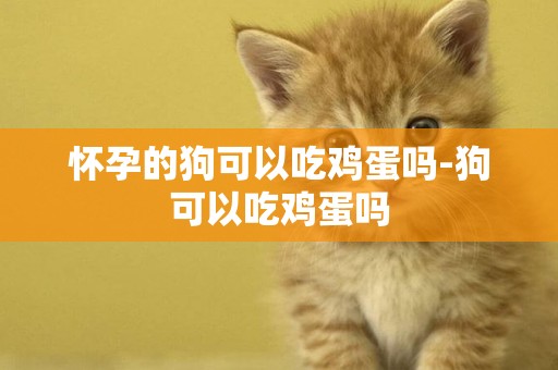 懷孕的狗可以吃雞蛋嗎-狗可以吃雞蛋嗎