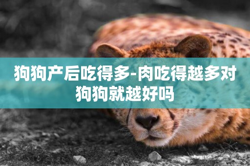狗狗產后吃得多-肉吃得越多對狗狗就越好嗎
