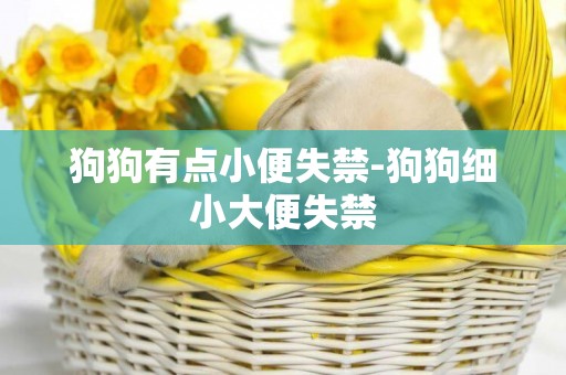 狗狗有點小便失禁-狗狗細小大便失禁