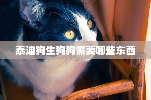 泰迪狗生狗狗需要哪些東西