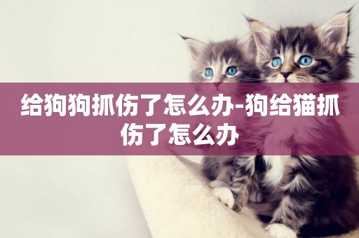 給狗狗抓傷了怎么辦-狗給貓抓傷了怎么辦