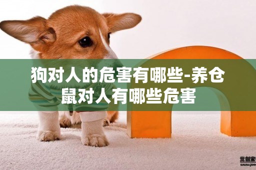 狗對人的危害有哪些-養倉鼠對人有哪些危害