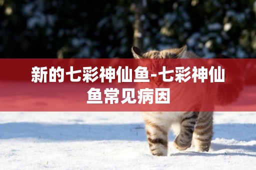 新的七彩神仙魚-七彩神仙魚常見病因