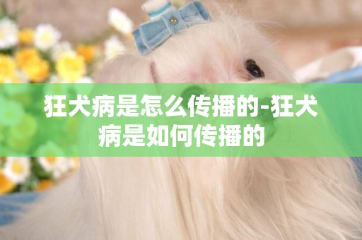 狂犬病是怎么傳播的-狂犬病是如何傳播的