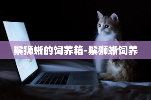 鬃獅蜥的飼養箱-鬃獅蜥飼養
