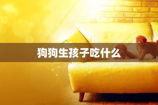 狗狗生孩子吃什么