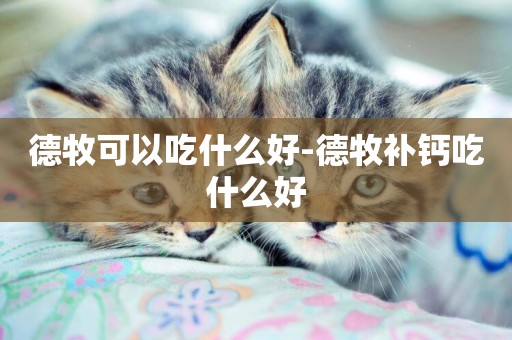 德牧可以吃什么好-德牧補鈣吃什么好