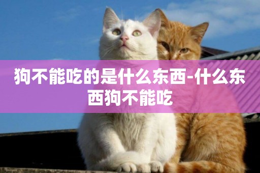 狗不能吃的是什么東西-什么東西狗不能吃
