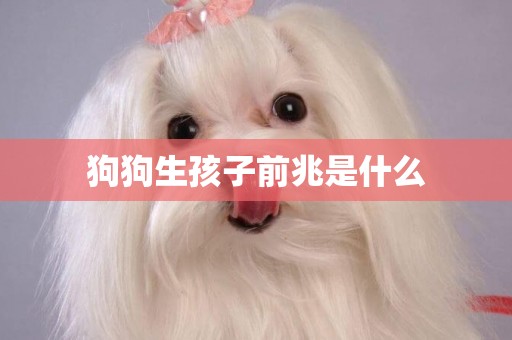 狗狗生孩子前兆是什么