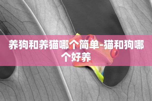 養狗和養貓哪個簡單-貓和狗哪個好養
