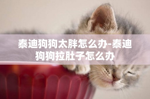 泰迪狗狗太胖怎么辦-泰迪狗狗拉肚子怎么辦