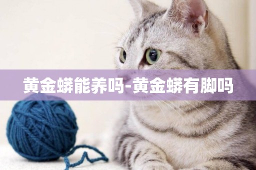 黃金蟒能養嗎-黃金蟒有腳嗎