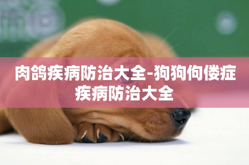 肉鴿疾病防治大全-狗狗佝僂癥疾病防治大全