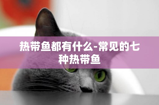 熱帶魚都有什么-常見的七種熱帶魚