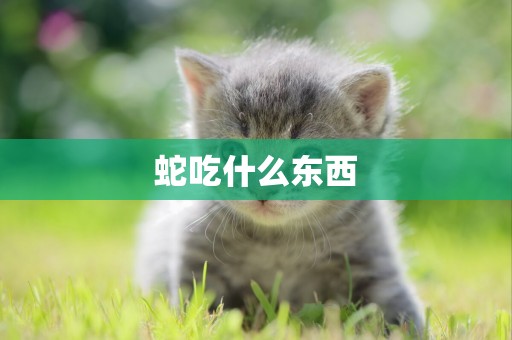 蛇吃什么東西