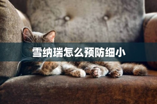 雪納瑞怎么預防細小