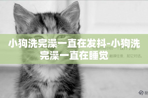 小狗洗完澡一直在發抖-小狗洗完澡一直在睡覺