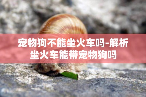 寵物狗不能坐火車嗎-解析坐火車能帶寵物狗嗎