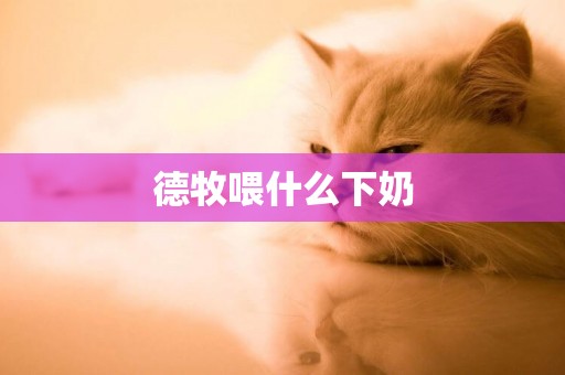 德牧喂什么下奶