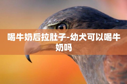 喝牛奶后拉肚子-幼犬可以喝牛奶嗎