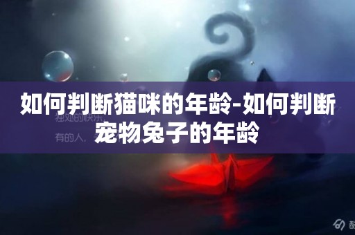 如何判斷貓咪的年齡-如何判斷寵物兔子的年齡
