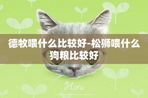 德牧喂什么比較好-松獅喂什么狗糧比較好