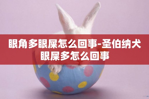 眼角多眼屎怎么回事-圣伯納犬眼屎多怎么回事