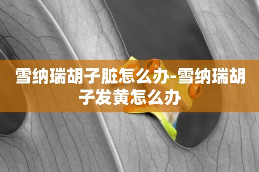 雪納瑞胡子臟怎么辦-雪納瑞胡子發黃怎么辦