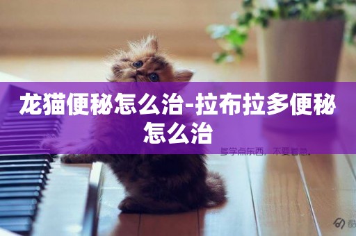 龍貓便秘怎么治-拉布拉多便秘怎么治