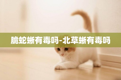 脆蛇蜥有毒嗎-北草蜥有毒嗎