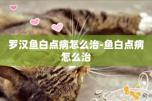 羅漢魚白點病怎么治-魚白點病怎么治