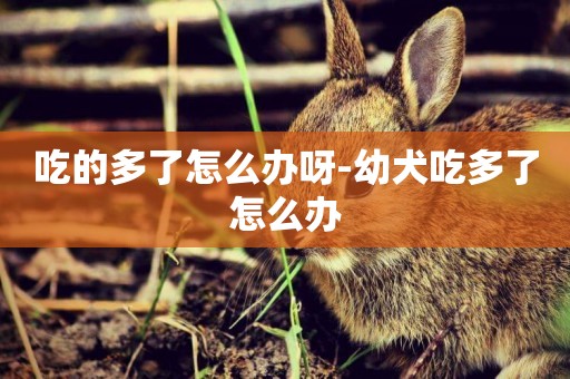 吃的多了怎么辦呀-幼犬吃多了怎么辦