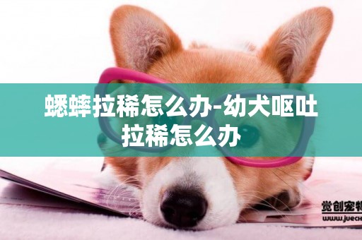 蟋蟀拉稀怎么辦-幼犬嘔吐拉稀怎么辦