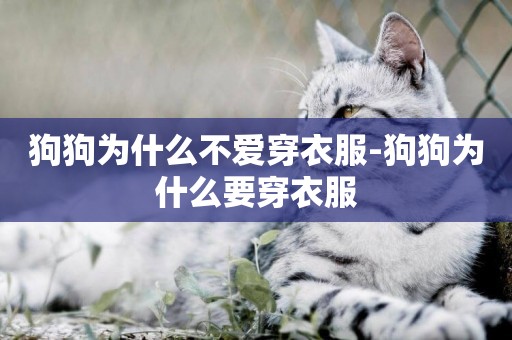 狗狗為什么不愛穿衣服-狗狗為什么要穿衣服