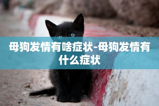 母狗發情有啥癥狀-母狗發情有什么癥狀
