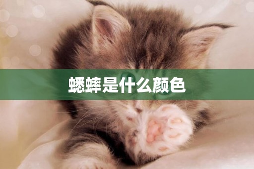 蟋蟀是什么顏色