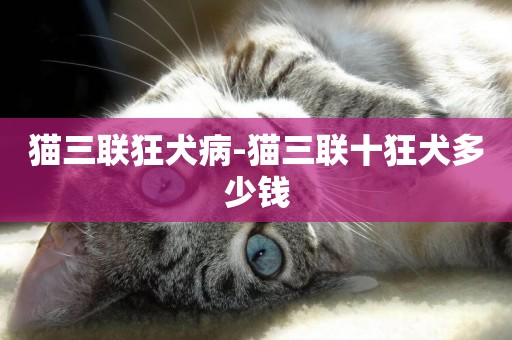 貓三聯狂犬病-貓三聯十狂犬多少錢