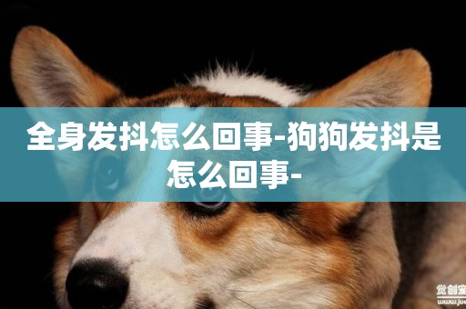 全身發抖怎么回事-狗狗發抖是怎么回事-