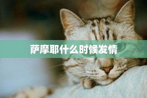 薩摩耶什么時候發情