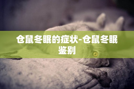 倉鼠冬眠的癥狀-倉鼠冬眠鑒別