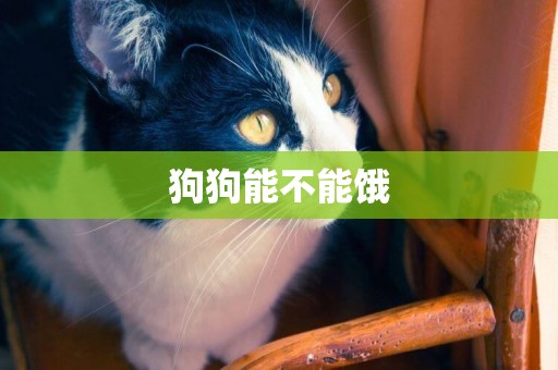 狗狗能不能餓