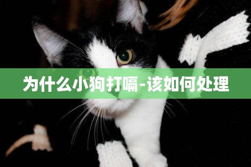 為什么小狗打嗝-該如何處理