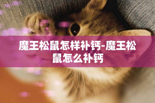 魔王松鼠怎樣補鈣-魔王松鼠怎么補鈣