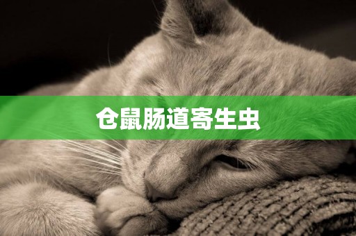 倉鼠腸道寄生蟲