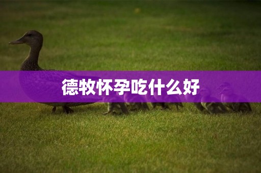 德牧懷孕吃什么好