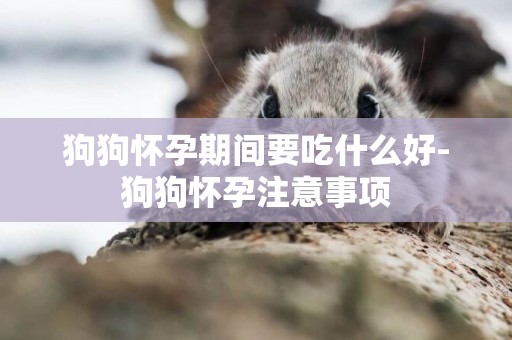 狗狗懷孕期間要吃什么好-狗狗懷孕注意事項
