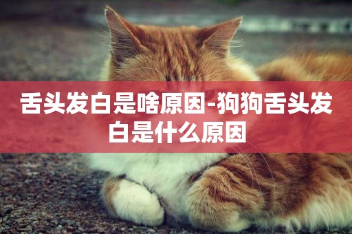 舌頭發白是啥原因-狗狗舌頭發白是什么原因